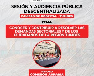 𝐒𝐄𝐒𝐈𝐎́𝐍 𝐘 𝐀𝐔𝐃𝐈𝐂𝐈𝐄𝐍𝐂𝐈𝐀 𝐏𝐔́𝐁𝐋𝐈𝐂𝐀 𝐂𝐎𝐍𝐉𝐔𝐍𝐓𝐀 𝐃𝐄𝐒𝐂𝐄𝐍𝐓𝐑𝐀𝐋𝐈𝐙𝐀𝐃𝐀 𝐄𝐍 𝐏𝐀𝐌𝐏𝐀𝐒 𝐃𝐄 𝐇𝐎𝐒𝐏𝐈𝐓𝐀𝐋 𝐓𝐔𝐌𝐁𝐄𝐒 