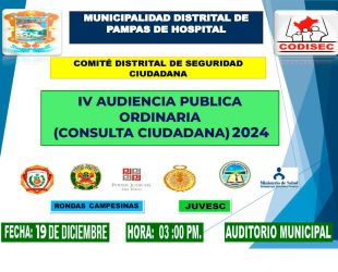 🚨 𝐈𝐕 𝐀𝐔𝐃𝐈𝐄𝐍𝐂𝐈𝐀 𝐏𝐔́𝐁𝐋𝐈𝐂𝐀 𝐎𝐑𝐃𝐈𝐍𝐀𝐑𝐈𝐀 (𝐂𝐎𝐍𝐒𝐔𝐋𝐓𝐀 𝐂𝐈𝐔𝐃𝐀𝐃𝐀𝐍𝐀) 𝟐𝟎𝟐𝟒 🚨